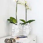 Apartman White Stylish 2 *