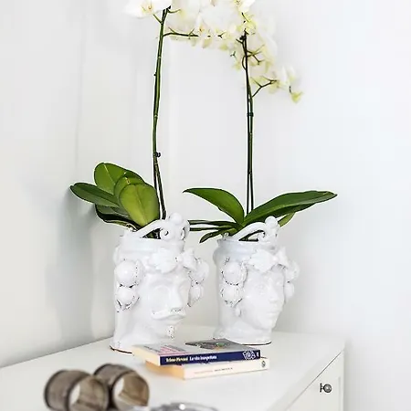 Apartment White Stylish 2 *